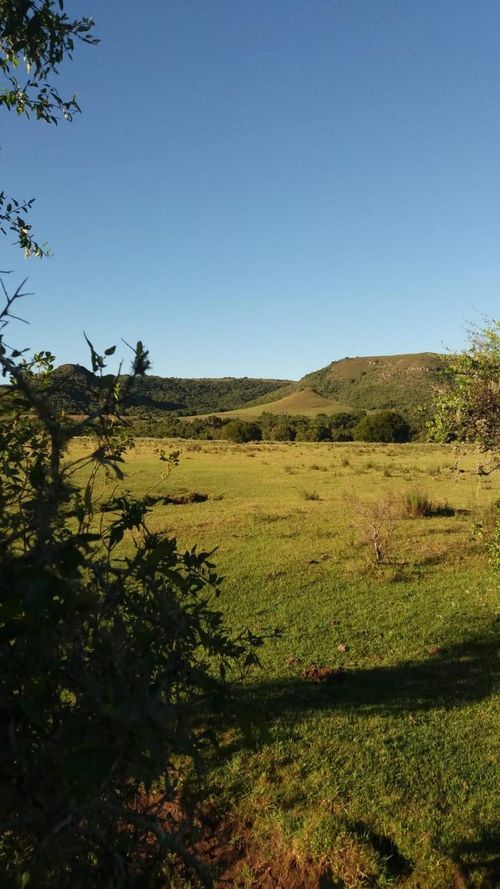 ¿Cuáles son las áreas protegidas en Uruguay?